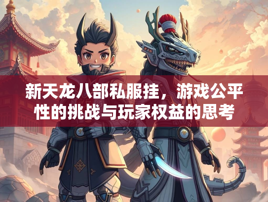 新天龙八部私服挂，游戏公平性的挑战与玩家权益的思考  第2张