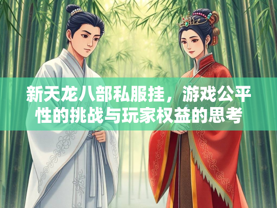 新天龙八部私服挂，游戏公平性的挑战与玩家权益的思考