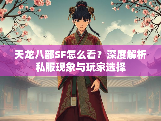 天龙八部SF怎么看？深度解析私服现象与玩家选择  第2张