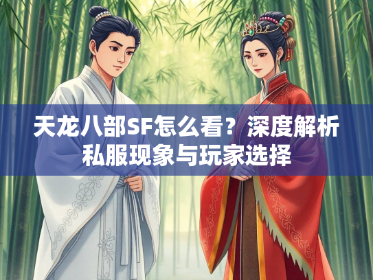 天龙八部SF怎么看？深度解析私服现象与玩家选择  第1张