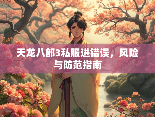 天龙八部3私服进错误，风险与防范指南
