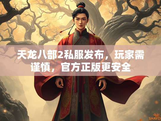 天龙八部2私服发布，玩家需谨慎，官方正版更安全