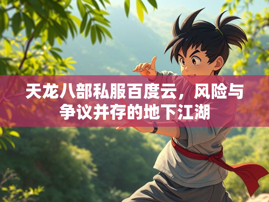 天龙八部私服百度云，风险与争议并存的地下江湖  第3张