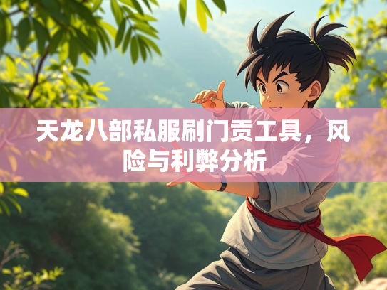 天龙八部私服刷门贡工具，风险与利弊分析  第3张