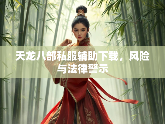 天龙八部私服辅助下载，风险与法律警示  第2张