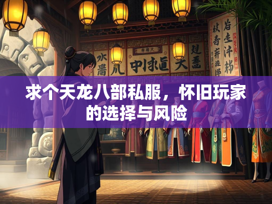 求个天龙八部私服，怀旧玩家的选择与风险  第2张
