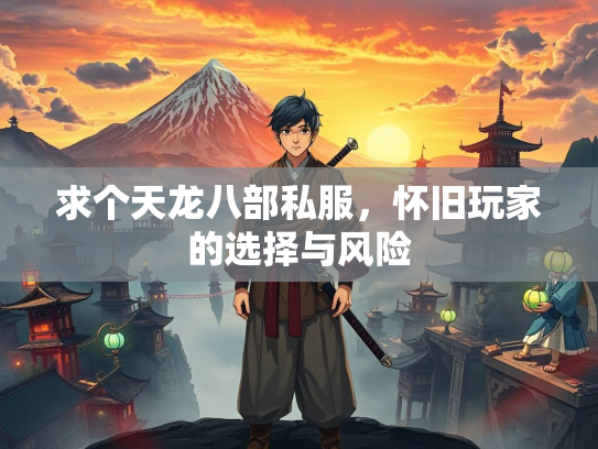 求个天龙八部私服，怀旧玩家的选择与风险