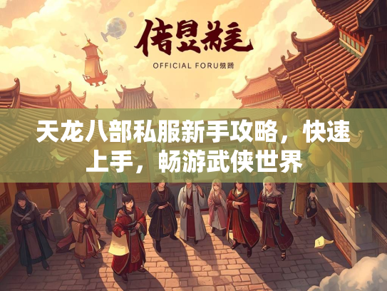 天龙八部私服新手攻略，快速上手，畅游武侠世界  第2张