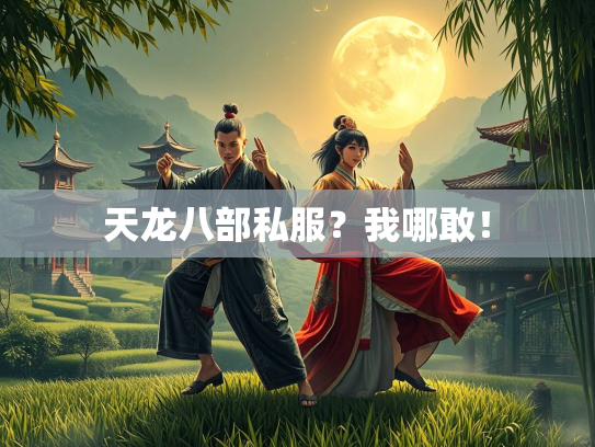 天龙八部私服？我哪敢！  第2张