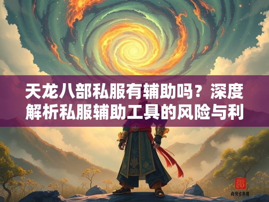 天龙八部私服有辅助吗？深度解析私服辅助工具的风险与利弊  第3张