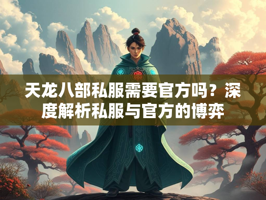 天龙八部私服需要官方吗？深度解析私服与官方的博弈  第2张