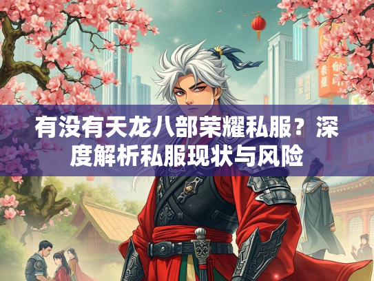 有没有天龙八部荣耀私服？深度解析私服现状与风险  第1张