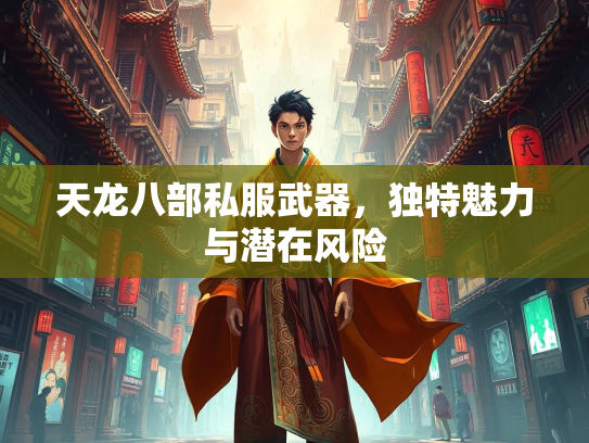 天龙八部私服武器，独特魅力与潜在风险