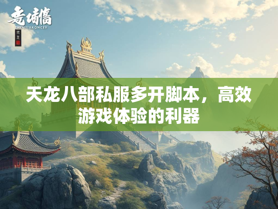 天龙八部私服多开脚本，高效游戏体验的利器