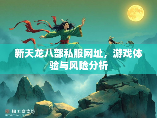 新天龙八部私服网址，游戏体验与风险分析