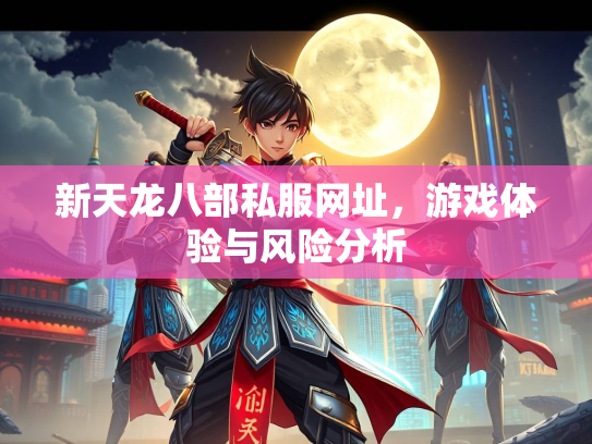 新天龙八部私服网址，游戏体验与风险分析