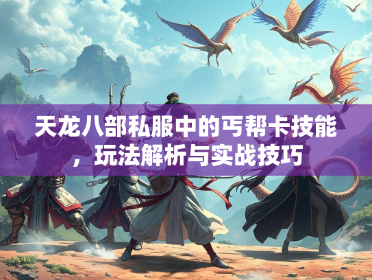 天龙八部私服中的丐帮卡技能，玩法解析与实战技巧  第2张