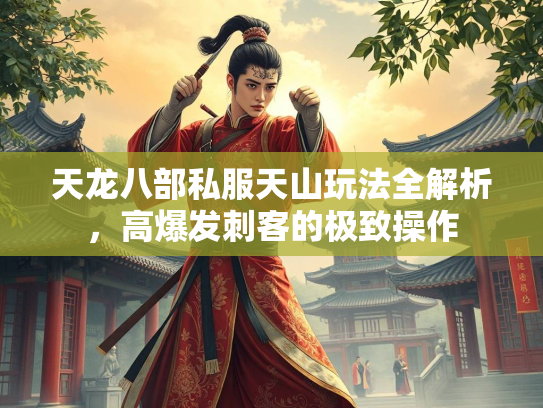 天龙八部私服天山玩法全解析，高爆发刺客的极致操作  第2张