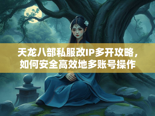 天龙八部私服改IP多开攻略，如何安全高效地多账号操作