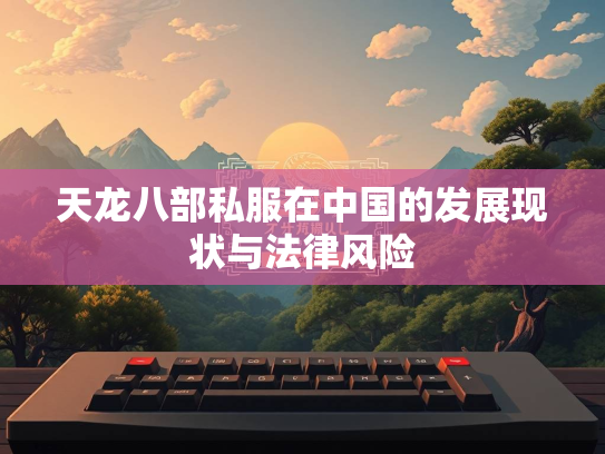 天龙八部私服在中国的发展现状与法律风险