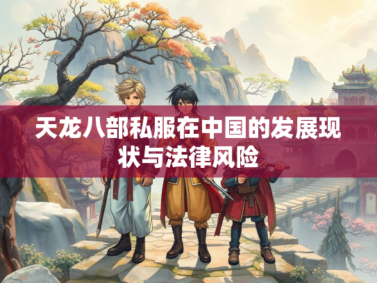 天龙八部私服在中国的发展现状与法律风险