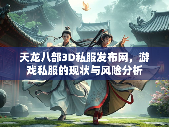 天龙八部3D私服发布网，游戏私服的现状与风险分析
