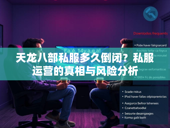 天龙八部私服多久倒闭？私服运营的真相与风险分析  第2张