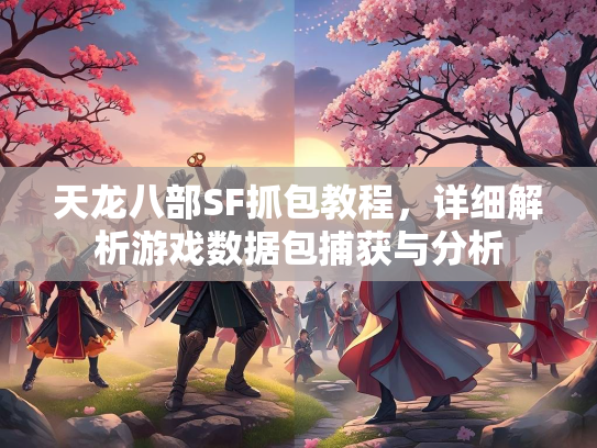 天龙八部SF抓包教程，详细解析游戏数据包捕获与分析