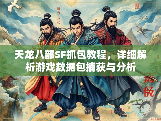 天龙八部SF抓包教程，详细解析游戏数据包捕获与分析