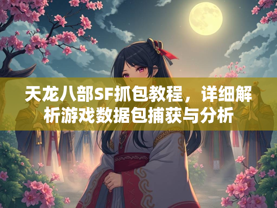 天龙八部SF抓包教程，详细解析游戏数据包捕获与分析