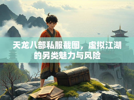 天龙八部私服截图，虚拟江湖的另类魅力与风险  第3张