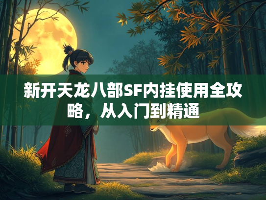 新开天龙八部SF内挂使用全攻略，从入门到精通  第2张