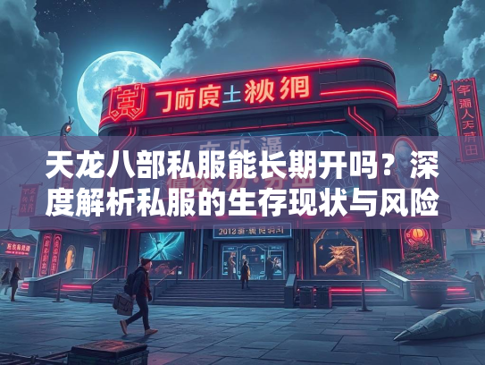 天龙八部私服能长期开吗？深度解析私服的生存现状与风险  第2张
