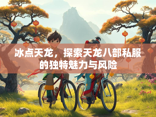 冰点天龙，探索天龙八部私服的独特魅力与风险