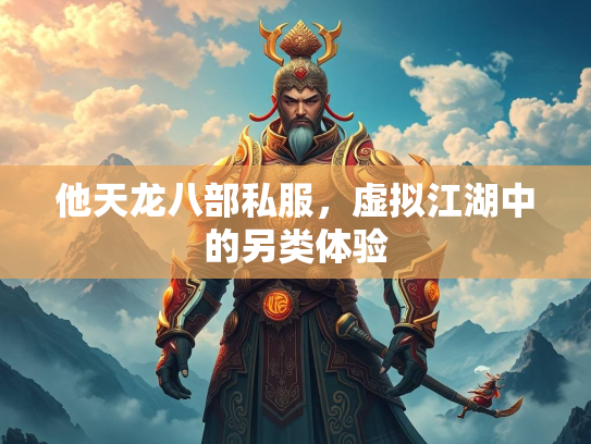 他天龙八部私服，虚拟江湖中的另类体验  第2张