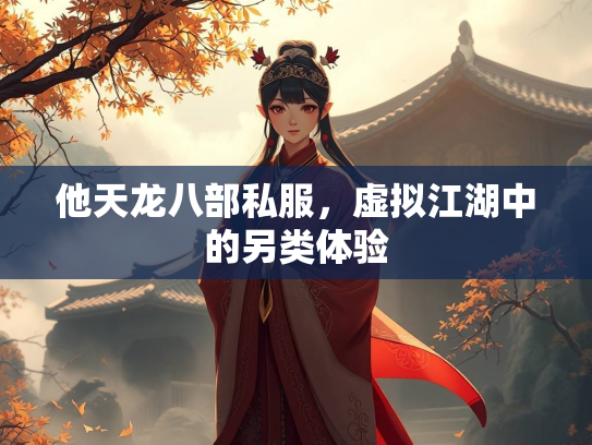 他天龙八部私服，虚拟江湖中的另类体验  第3张