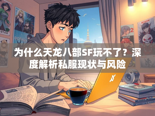 为什么天龙八部SF玩不了？深度解析私服现状与风险