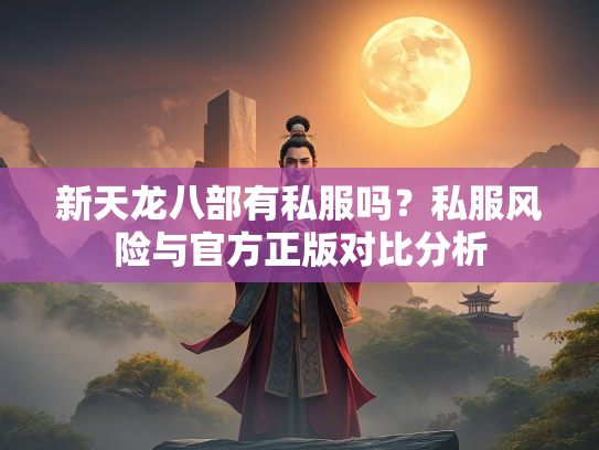新天龙八部有私服吗？私服风险与官方正版对比分析