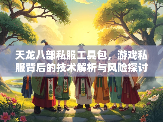 天龙八部私服工具包，游戏私服背后的技术解析与风险探讨  第2张
