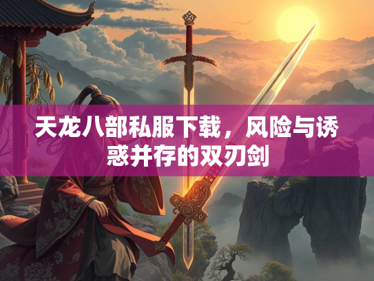 天龙八部私服下载，风险与诱惑并存的双刃剑