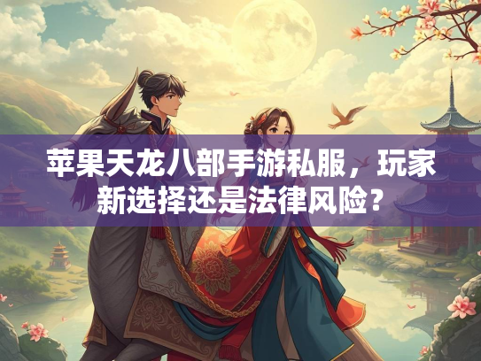 苹果天龙八部手游私服，玩家新选择还是法律风险？  第2张