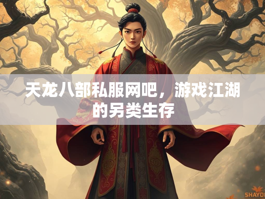 天龙八部私服网吧，游戏江湖的另类生存  第3张
