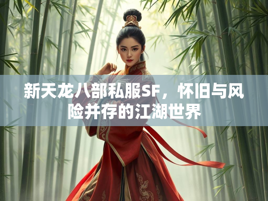新天龙八部私服SF，怀旧与风险并存的江湖世界  第2张