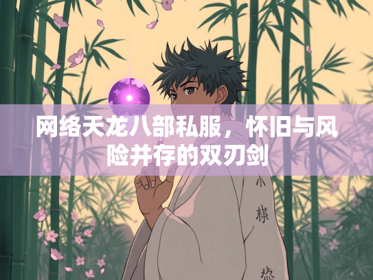 网络天龙八部私服，怀旧与风险并存的双刃剑