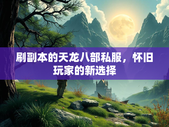 刷副本的天龙八部私服，怀旧玩家的新选择
