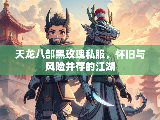 天龙八部黑玫瑰私服，怀旧与风险并存的江湖  第1张