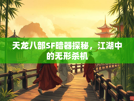 天龙八部SF暗器探秘，江湖中的无形杀机