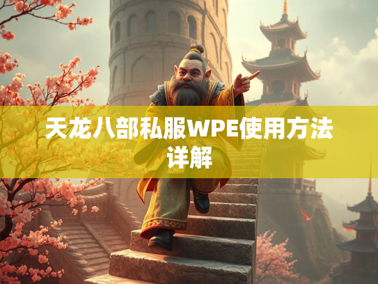 天龙八部私服WPE使用方法详解