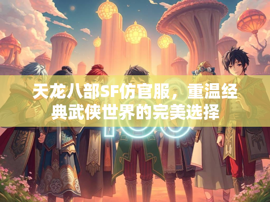 天龙八部SF仿官服，重温经典武侠世界的完美选择  第2张