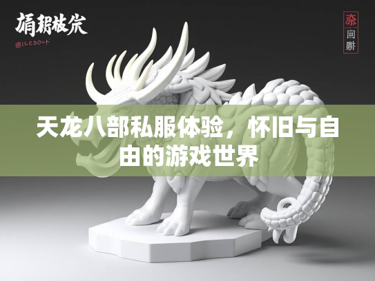 天龙八部私服体验，怀旧与自由的游戏世界  第3张